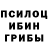 Псилоцибиновые грибы мицелий Roza Qween