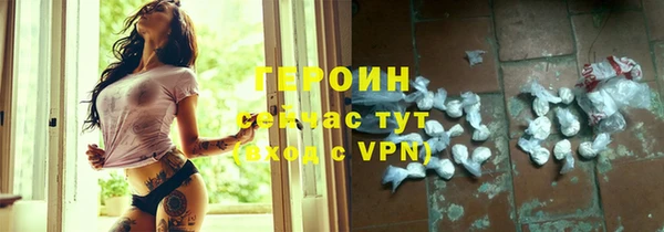 гидра Каменка