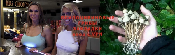 стаф Касимов
