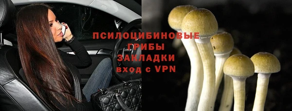 стаф Касимов