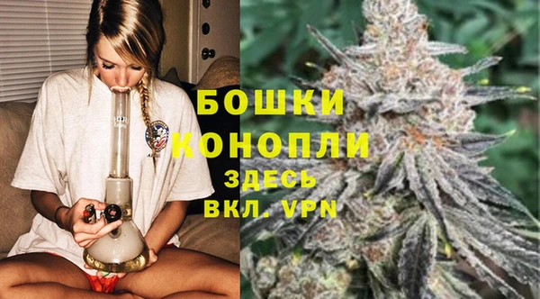 гидра Каменка