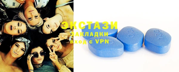 гидра Каменка