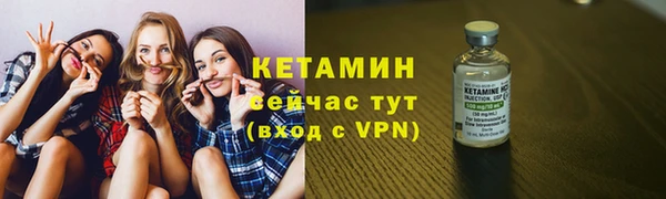 гидра Каменка