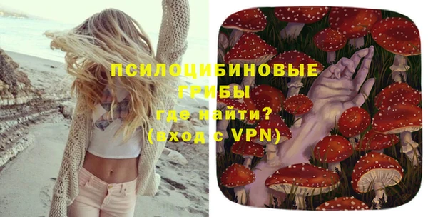гидра Каменка