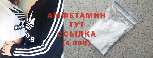 стаф Касимов