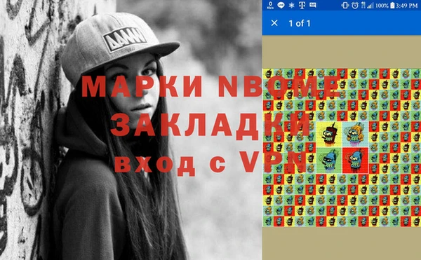 гидра Каменка
