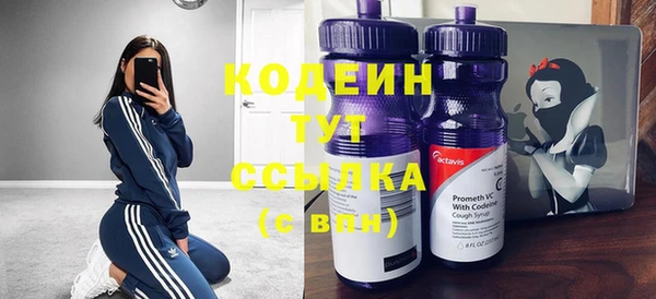 стаф Касимов