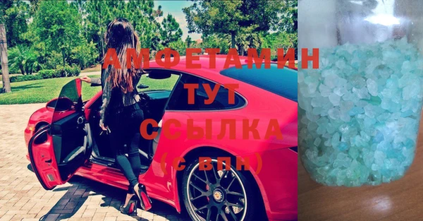 гидра Каменка