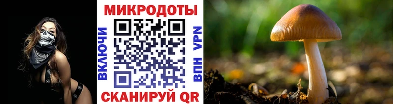 Купить  Калачинск  Псилоцибиновые грибы мухоморы 